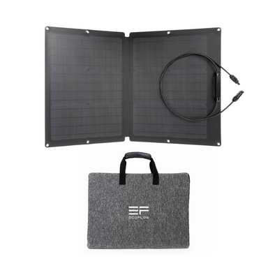 EcoFlow 60W Solar Panel with the bag for carrying