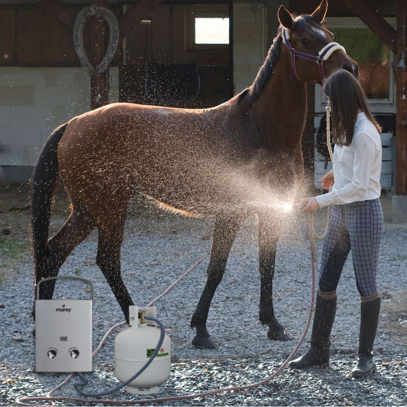 Marey Gas 5L Portable Liquid Propane Tankless Water Heater being used to watch a horse